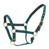 Centaur Super Comfort Halter - Green -Equestrian Supplies 312736 800 800