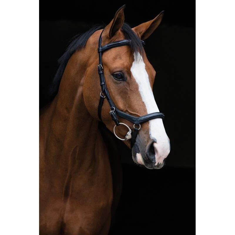 Rambo Micklem Original Deluxe Competition Bridle - Black 3 Rambo Micklem Original Deluxe Competition Bridle - Black
