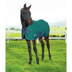 Weatherbeeta 1200D Foal Standard Neck Medium II Turnout - Hunter/Navy