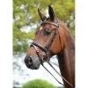 Kincade Padded Headpiece Flash Bridle - Brown -Equestrian Supplies 347264 800 800