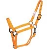 Western Rawhide SignatureFashion Halter W/Black Nickel Finish Hardware - Marigold -Equestrian Supplies 360321 800 800
