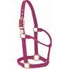 Western Rawhide Signature Classic Halter - Fuchsia -Equestrian Supplies 360679 800 800