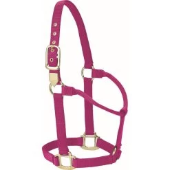 Western Rawhide Signature Classic Halter - Fuchsia