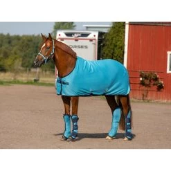 Equestrian Supplies -Equestrian Supplies 400779 800 800