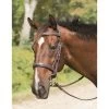 Shires Avignon Wellington Bridle - Havana -Equestrian Supplies 420104 800 800