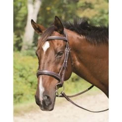 Shires Avignon Wellington Bridle - Havana