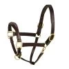 Aramas Fancy Raised Z Shaped Padded Halter - Chocolate -Equestrian Supplies 422112 800 800