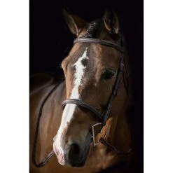 Pessoa PRO Fancy Stitched Raised Bridle - Dark Brown -Equestrian Supplies 435220 800 800