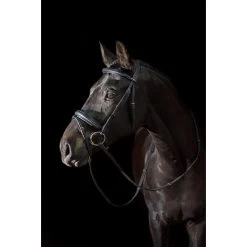 Ovation ATS Traditional Flash Dressage Bridle - Black