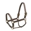 Camelot Triple Stitch Halter - Brown -Equestrian Supplies 440918 800 800