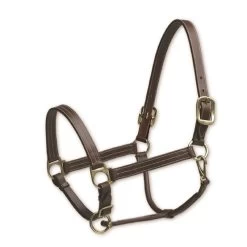Camelot Triple Stitch Halter - Brown