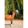 Kensington Mini Fly Mask W/Plush Fleece Trim - Imperial Jade