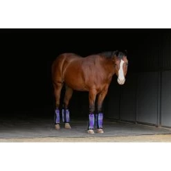 Kensington Bubble Fly Boots (Set Of 4) - Lavender Mint