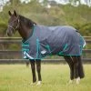 Weatherbeeta Comfitec Plus Dynamic II Standard Neck Medium - Black/Aqua -Equestrian Supplies 448305 800 800