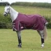 Weatherbeeta Comfitec Plus Dynamic II Standard Neck Medium - Maroon/Grey/White -Equestrian Supplies 448376 800 800