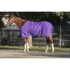 Kensington Signature Heavy Weight Turnout - Purple 2 Kensington Signature Heavy Weight Turnout - Purple -Equestrian Supplies 480157 800 800