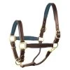 Perri's 1" Padded Leather Halter - Havana/Navy -Equestrian Supplies 500288 800 800