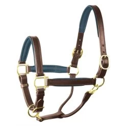 Perri's 1" Padded Leather Halter - Havana/Navy
