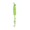 Perri's 5/8" Nylon Lead W/Snap - Lime Green -Equestrian Supplies 500574 800 800