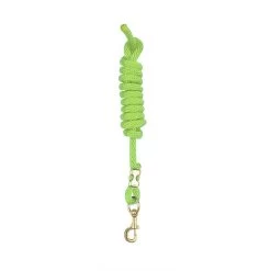 Perri's 5/8" Nylon Lead W/Snap - Lime Green