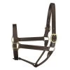 Perri's 1" Leather Track Halter - Havana 2 Perri's 1" Leather Track Halter - Havana -Equestrian Supplies 503718 800 800