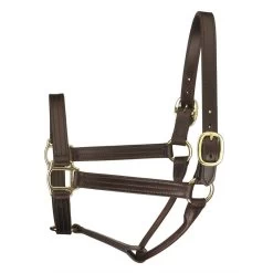 Perri's 1" Leather Track Halter - Havana
