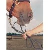 Nunn Finer Leather Lead - Havana 1 Nunn Finer Leather Lead - Havana -Equestrian Supplies 505172 800 800