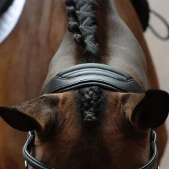 Collegiate Comfitec Vogue Anatomical Bridle - Brown -Equestrian Supplies 553343 800 800