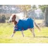Shires Highlander Minature Turnout Lite - Teal -Equestrian Supplies 554498 800 800