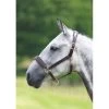 Blenheim Leather Travel Headcollar - Havana -Equestrian Supplies 554529 800 800