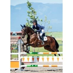 Kerrits Women's Stretch Competitor Koat 3 Snap - Navy -Equestrian Supplies 569418 800 800