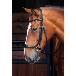 Shires Velociti Rapida Ergonomic Curved Cheek Bridle - Black