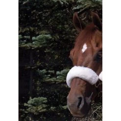 WoolBack Noseband Cover - Natural