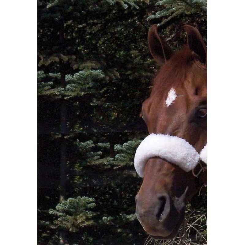 WoolBack Noseband Cover - Natural 3 WoolBack Noseband Cover - Natural