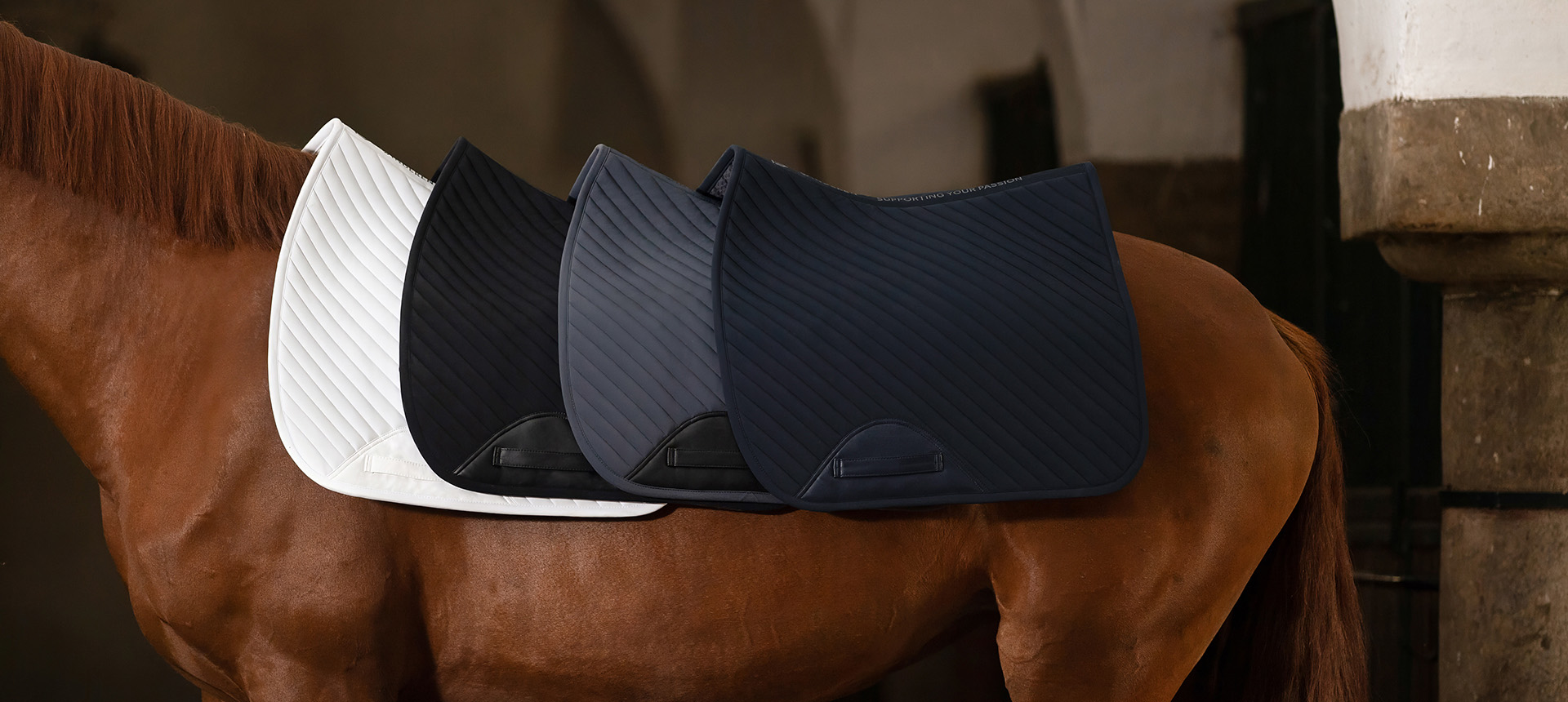 Equestrian Supplies -Equestrian Supplies 1