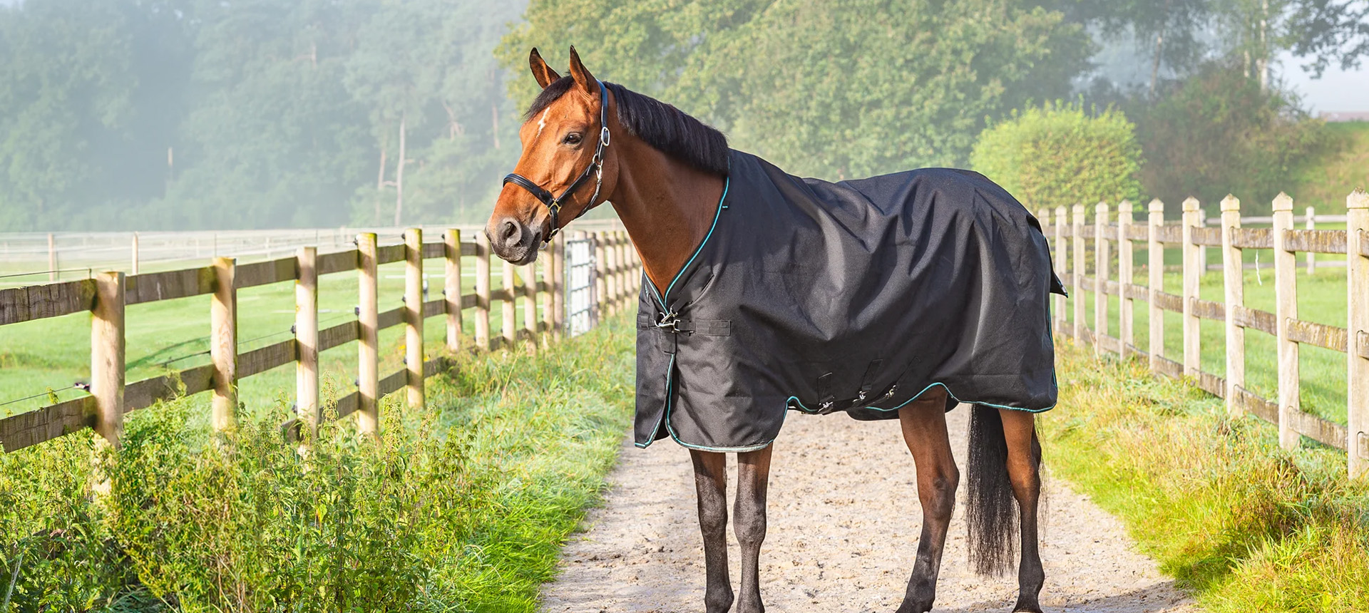 Equestrian Supplies -Equestrian Supplies 2